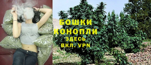 PSILOCYBIN Балабаново