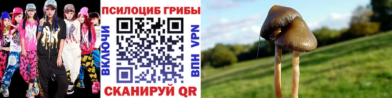 Купить закладки  Озёры  Галлюциногенные грибы мухоморы 